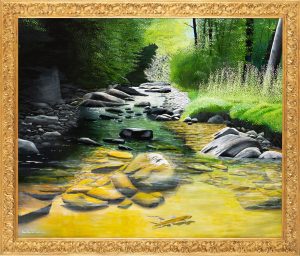 Il fiume Montone e la trota iridea